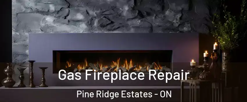  Gas Fireplace Repair Pine Ridge Estates - ON