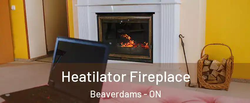  Heatilator Fireplace Beaverdams - ON
