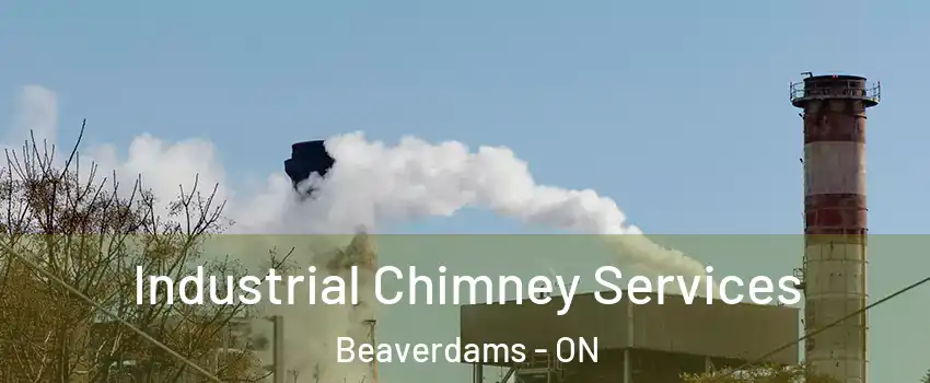  Industrial Chimney Services Beaverdams - ON