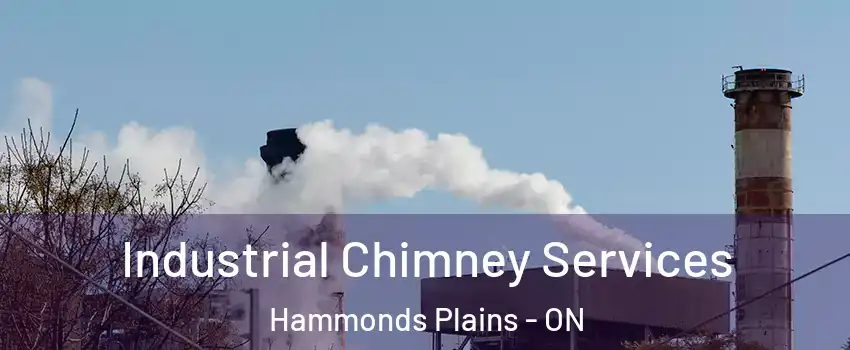  Industrial Chimney Services Hammonds Plains - ON