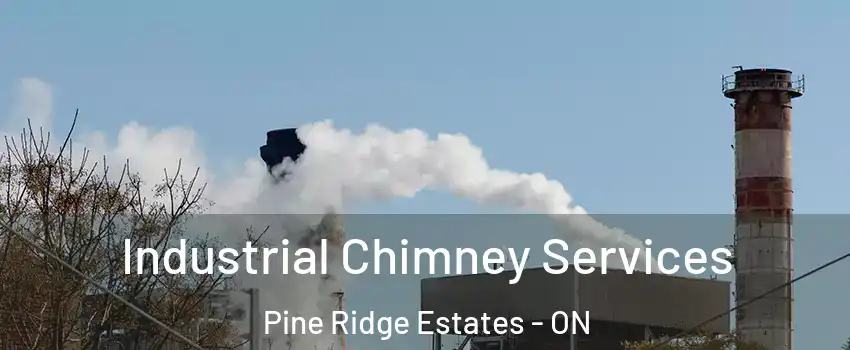  Industrial Chimney Services Pine Ridge Estates - ON
