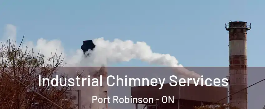  Industrial Chimney Services Port Robinson - ON