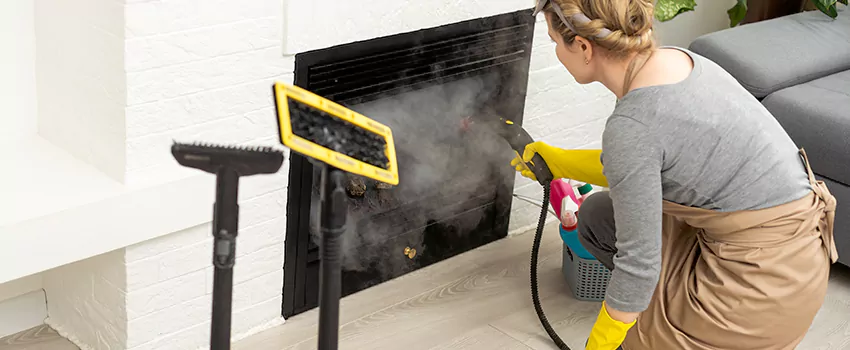 Fireplace Doors Cleaning in Thorold South, Ontario
