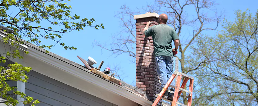 Chimney And Flue Brush Cleaning in Port Robinson, Ontario