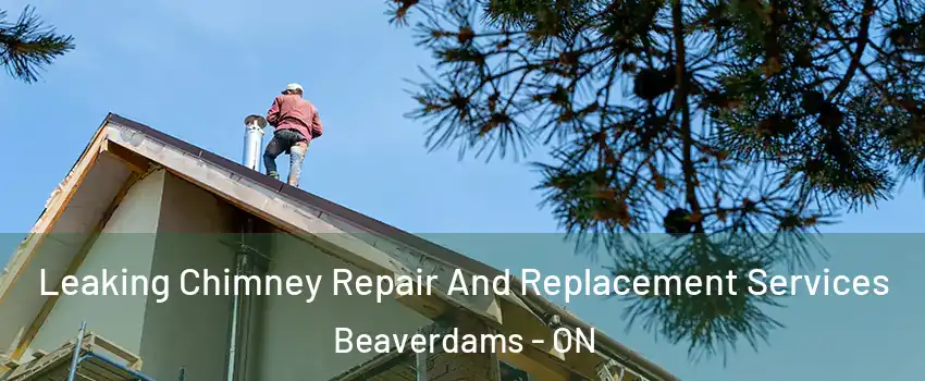  Leaking Chimney Repair And Replacement Services Beaverdams - ON