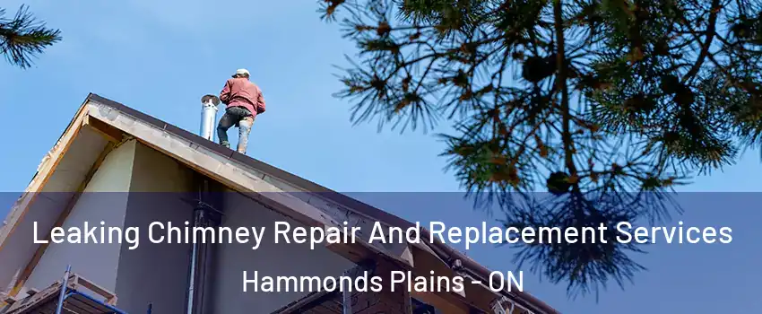  Leaking Chimney Repair And Replacement Services Hammonds Plains - ON