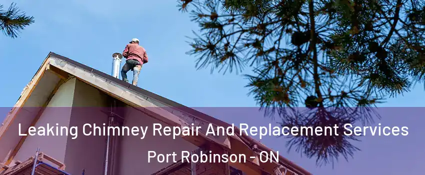  Leaking Chimney Repair And Replacement Services Port Robinson - ON