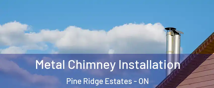 Metal Chimney Installation Pine Ridge Estates - ON