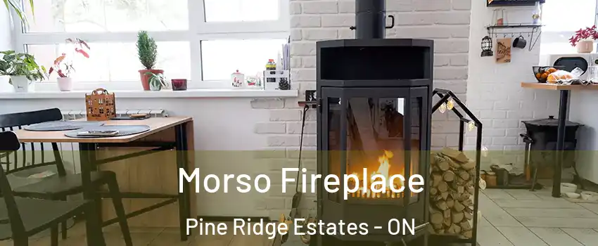  Morso Fireplace Pine Ridge Estates - ON