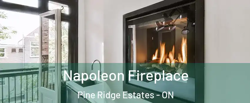  Napoleon Fireplace Pine Ridge Estates - ON