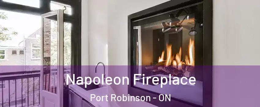  Napoleon Fireplace Port Robinson - ON