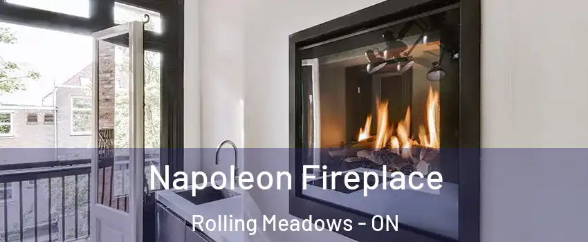  Napoleon Fireplace Rolling Meadows - ON
