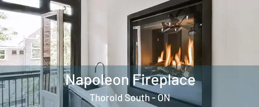  Napoleon Fireplace Thorold South - ON