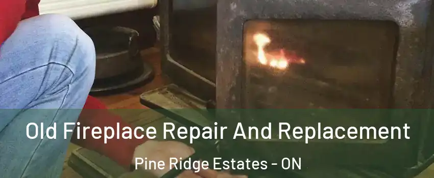  Old Fireplace Repair And Replacement Pine Ridge Estates - ON