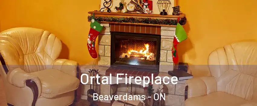  Ortal Fireplace Beaverdams - ON