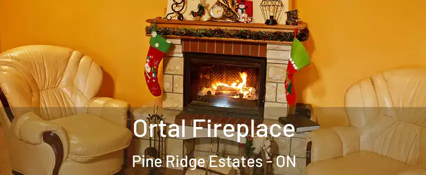  Ortal Fireplace Pine Ridge Estates - ON