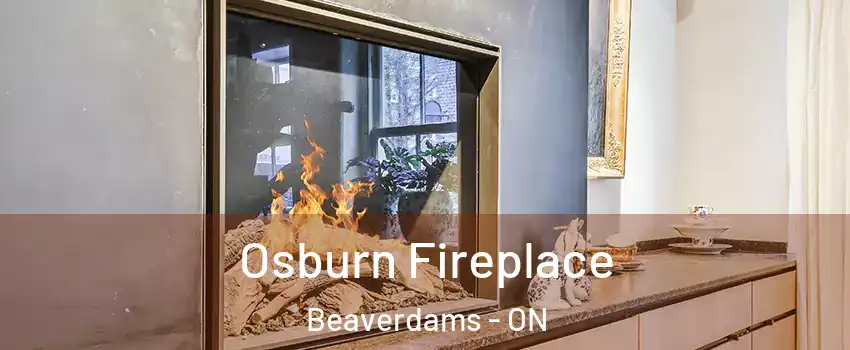  Osburn Fireplace Beaverdams - ON