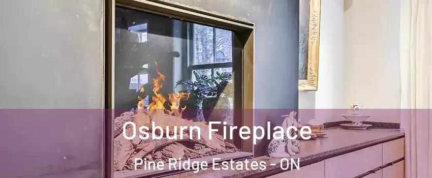  Osburn Fireplace Pine Ridge Estates - ON