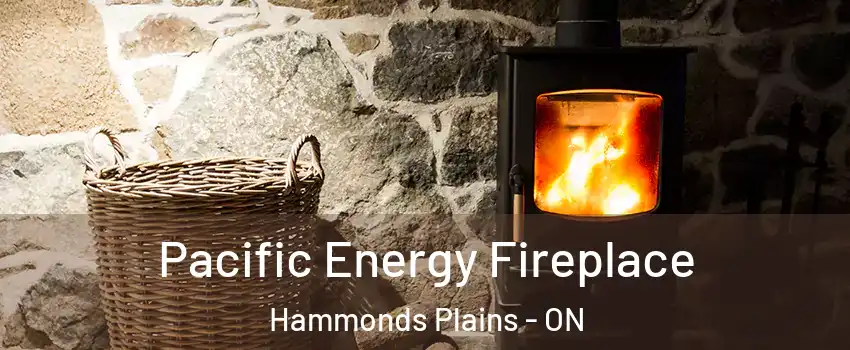  Pacific Energy Fireplace Hammonds Plains - ON
