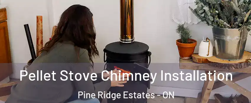  Pellet Stove Chimney Installation Pine Ridge Estates - ON