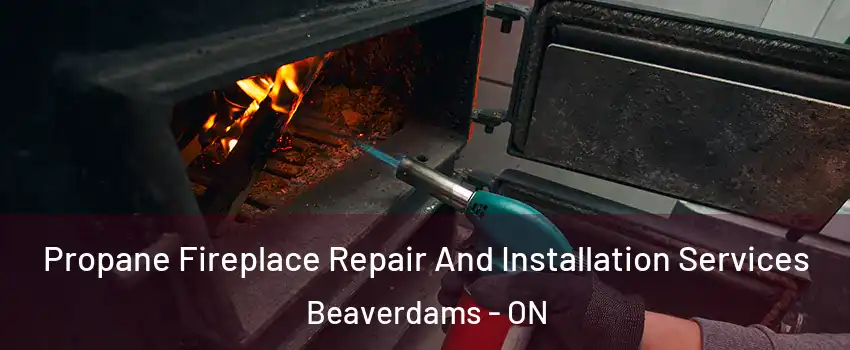  Propane Fireplace Repair And Installation Services Beaverdams - ON