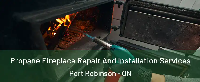  Propane Fireplace Repair And Installation Services Port Robinson - ON