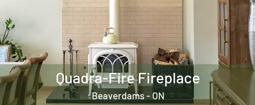  Quadra-Fire Fireplace Beaverdams - ON