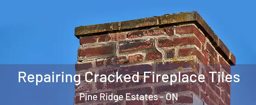 Repairing Cracked Fireplace Tiles Pine Ridge Estates - ON