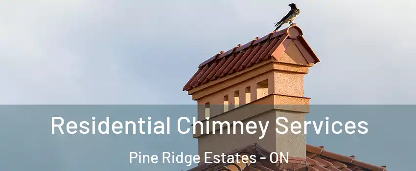  Residential Chimney Services Pine Ridge Estates - ON