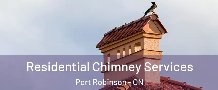 Residential Chimney Services Port Robinson - ON
