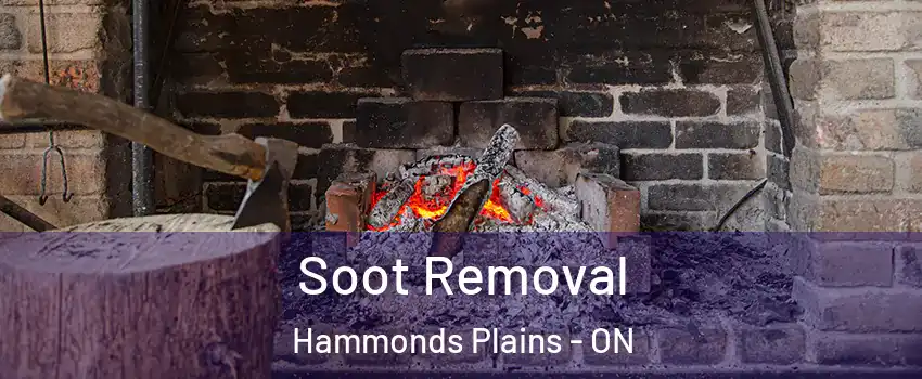 Soot Removal Hammonds Plains - ON