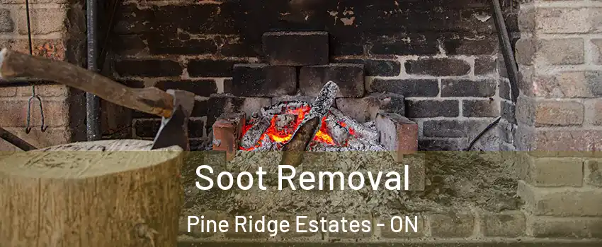  Soot Removal Pine Ridge Estates - ON