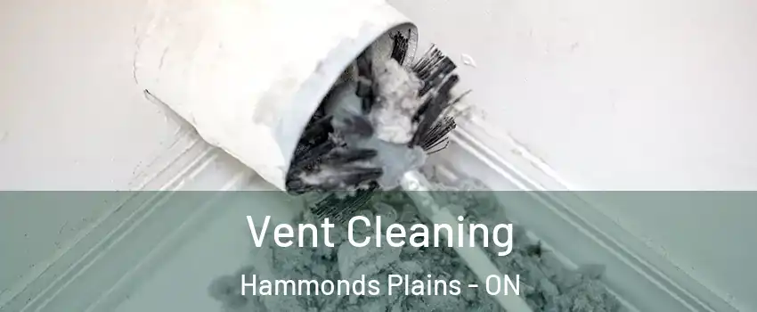  Vent Cleaning Hammonds Plains - ON