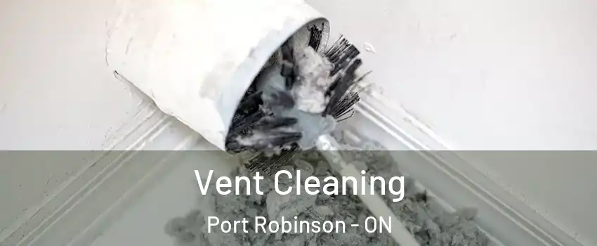  Vent Cleaning Port Robinson - ON