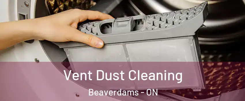  Vent Dust Cleaning Beaverdams - ON