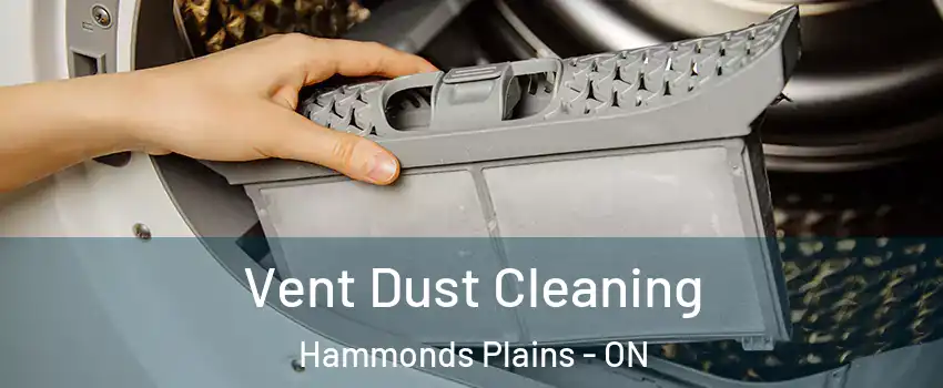 Vent Dust Cleaning Hammonds Plains - ON