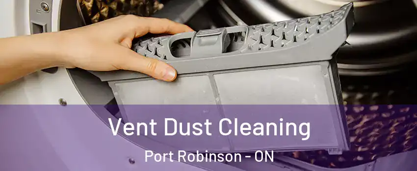  Vent Dust Cleaning Port Robinson - ON
