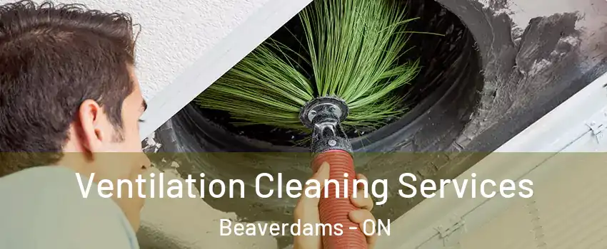  Ventilation Cleaning Services Beaverdams - ON