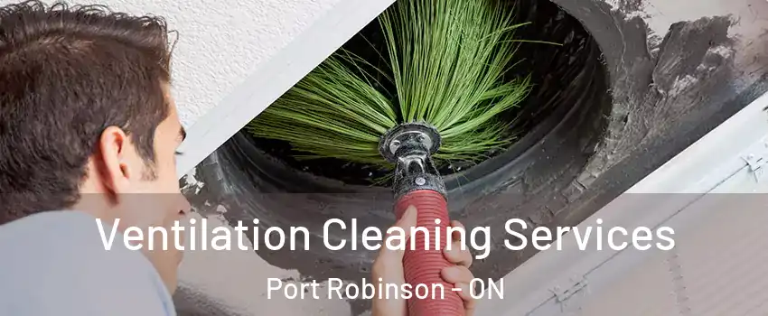  Ventilation Cleaning Services Port Robinson - ON