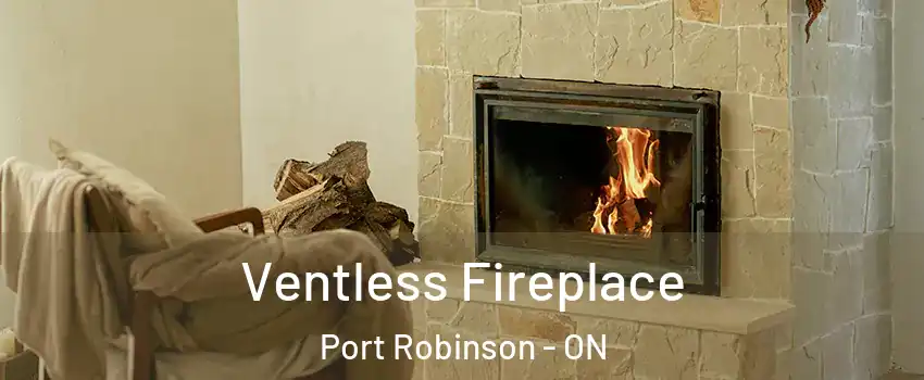  Ventless Fireplace Port Robinson - ON