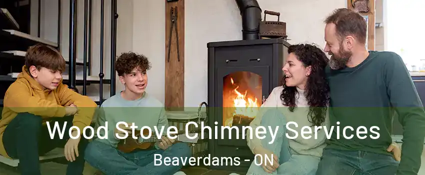  Wood Stove Chimney Services Beaverdams - ON