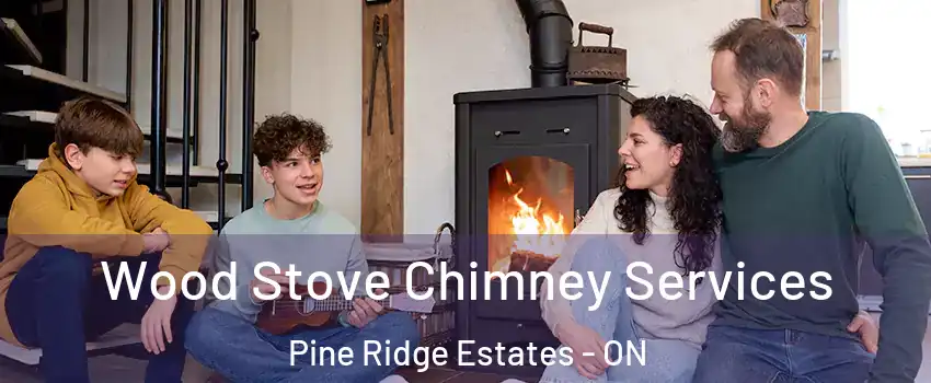  Wood Stove Chimney Services Pine Ridge Estates - ON