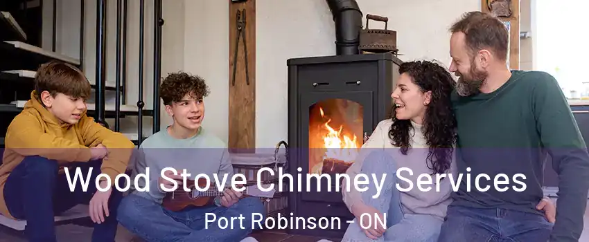  Wood Stove Chimney Services Port Robinson - ON