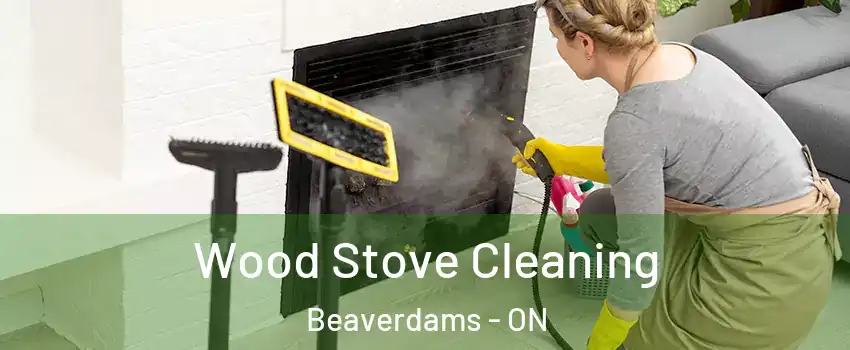  Wood Stove Cleaning Beaverdams - ON