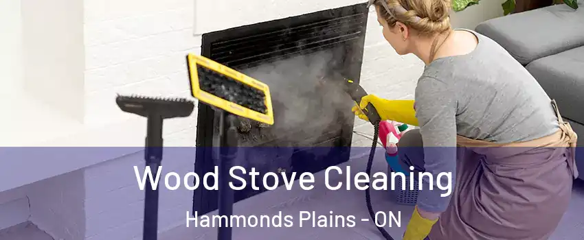  Wood Stove Cleaning Hammonds Plains - ON
