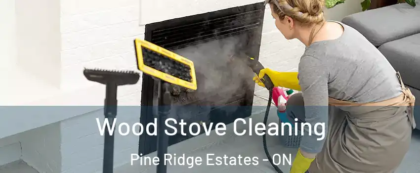  Wood Stove Cleaning Pine Ridge Estates - ON